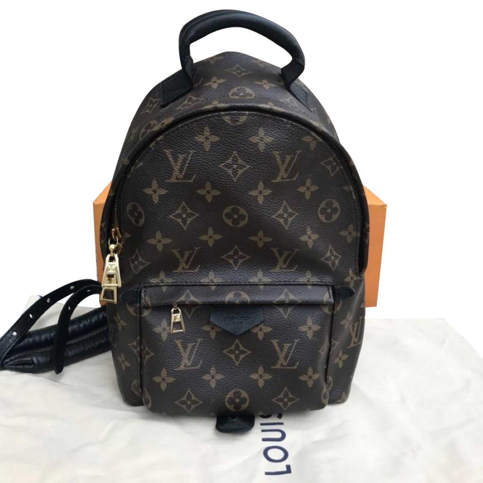 Louis Vuitton Palm springs backpack Backpacks Other Brown ref.55828 - Joli Closet